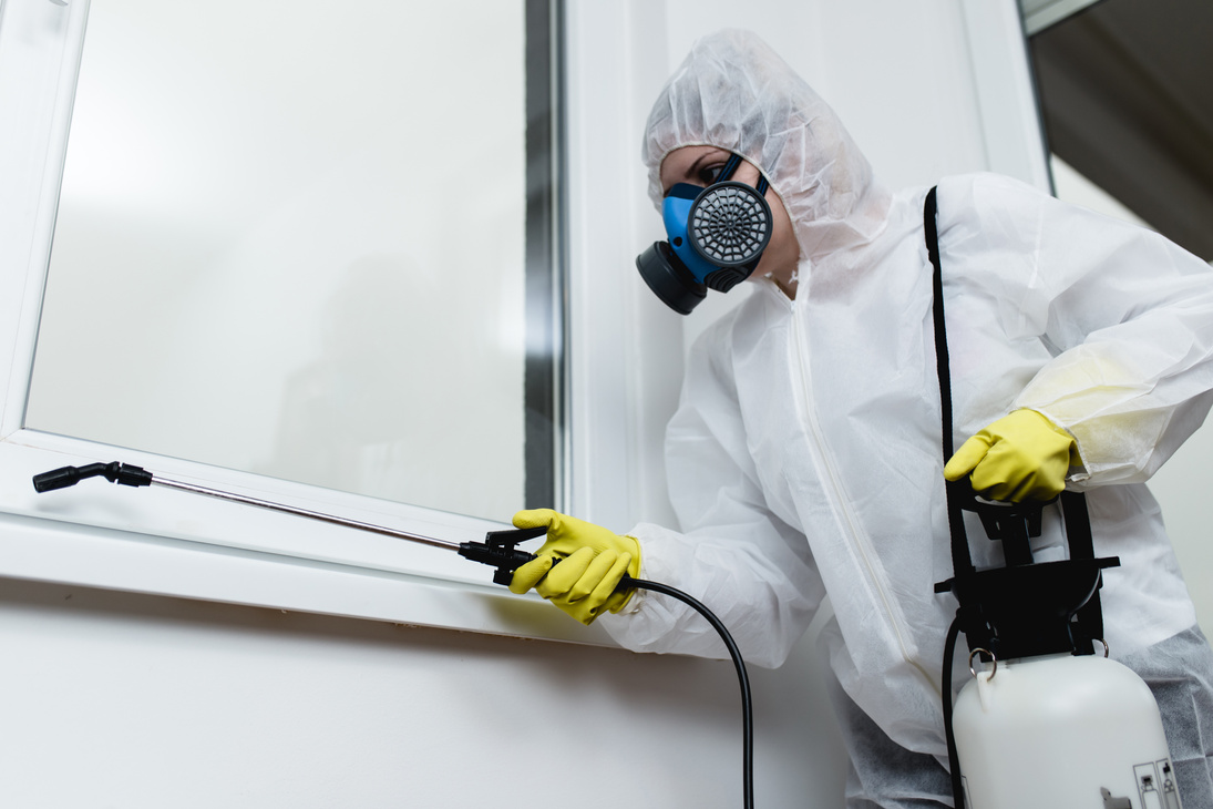 Exterminator working
