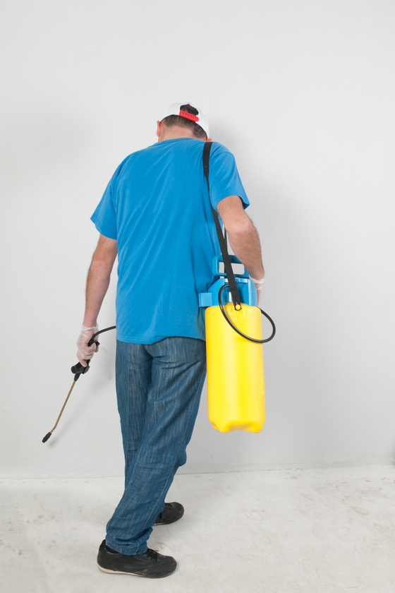 Pest Control