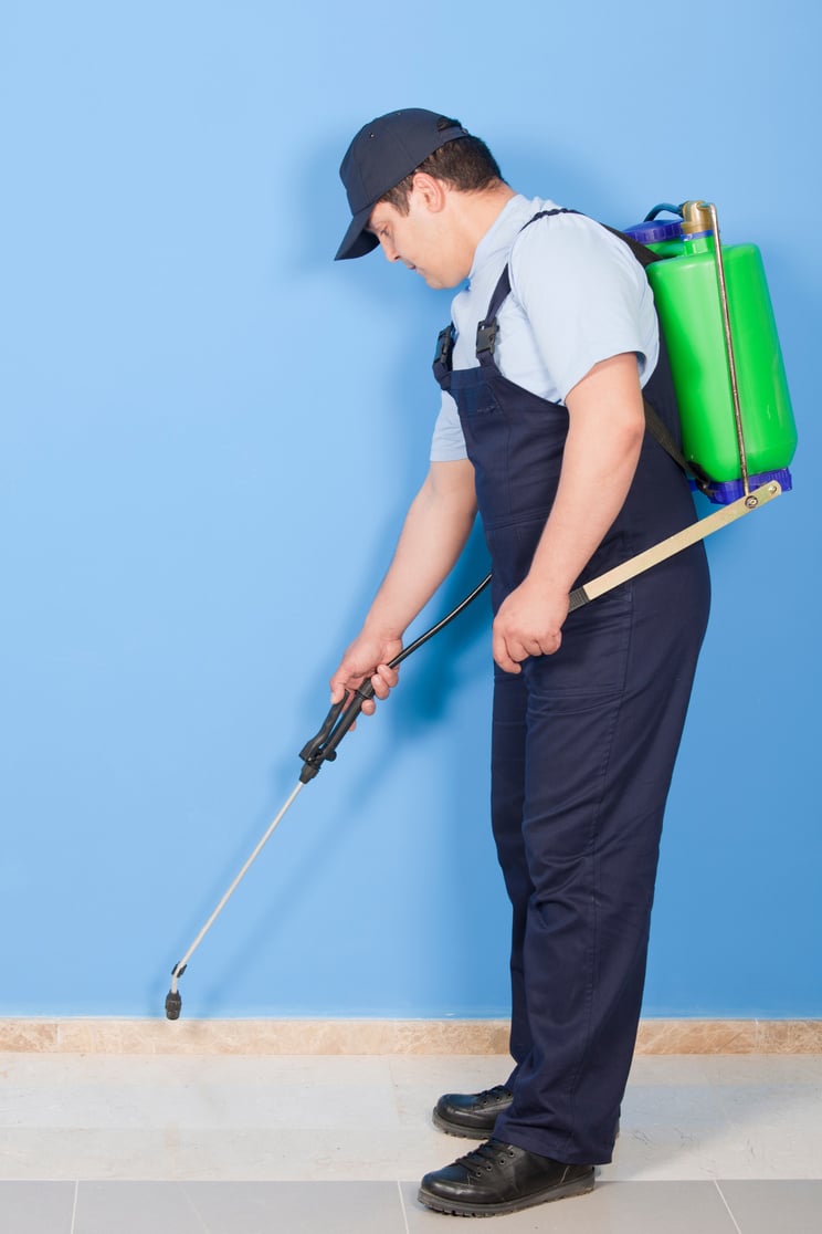 pest control