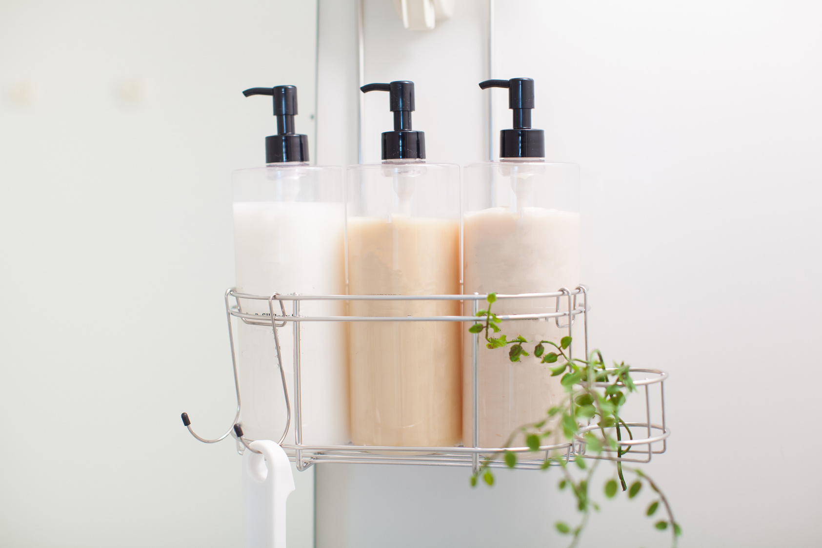 Shampoo, conditioner and body soap